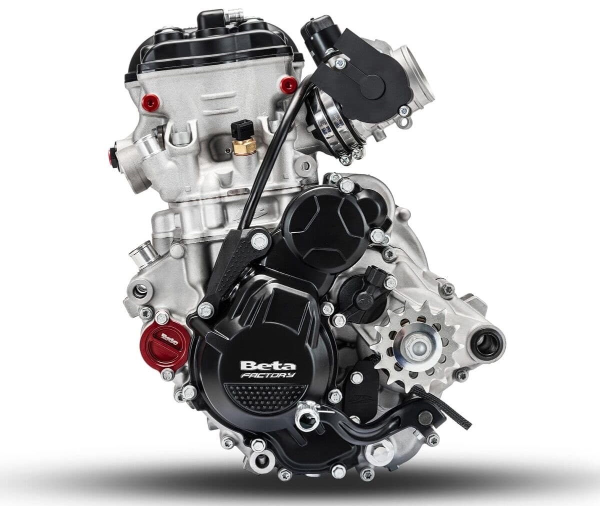 Beta 250 RXF single-cylinder engine detail, close-up of the silver cases, black cylinder head, Beta Factory clutch cover and countershaft sprocket