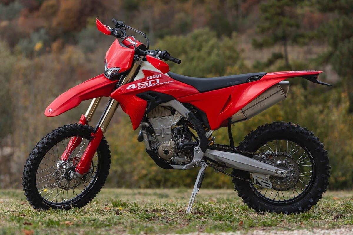 Ducati Desmo450 EDS left-side profile outdoors on grass, red plastics with white front fender accent, gold forks and twin-shock rear linkage