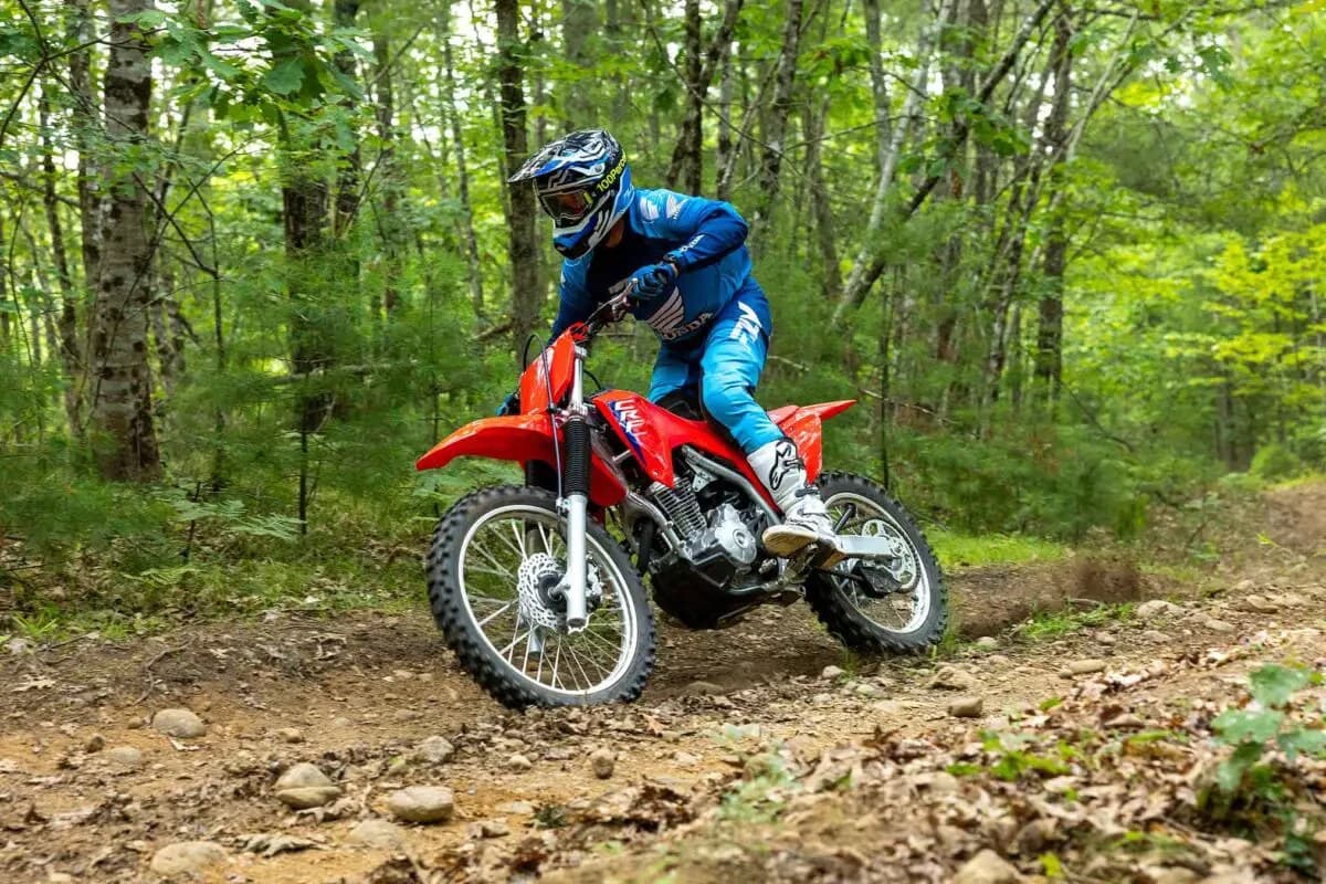 Rider in blue Honda gear riding a red CRF300F over a rocky dirt trail through a green forest