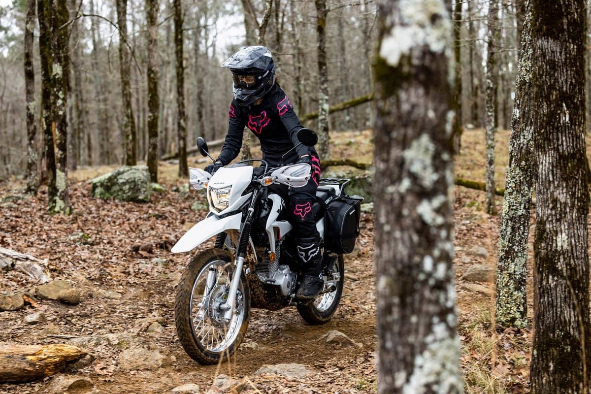 Rider in black and pink Fox gear on a white Honda XR150L with saddlebags, navigating a rocky leaf-covered forest trail