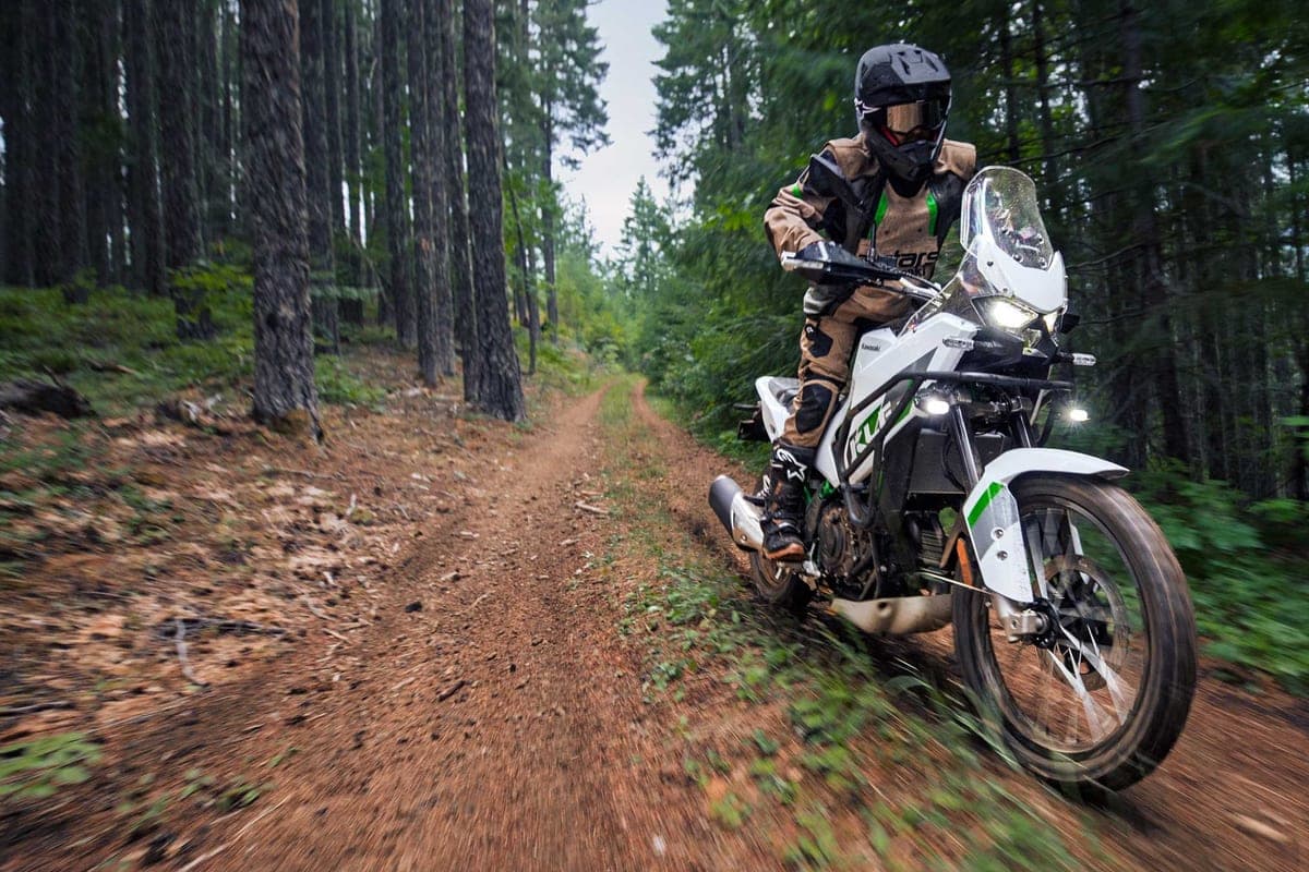 Rider on the KLE500 blasting down a shaded pine forest two-track at speed, headlights lit and motion blur streaking the tree-lined trail
