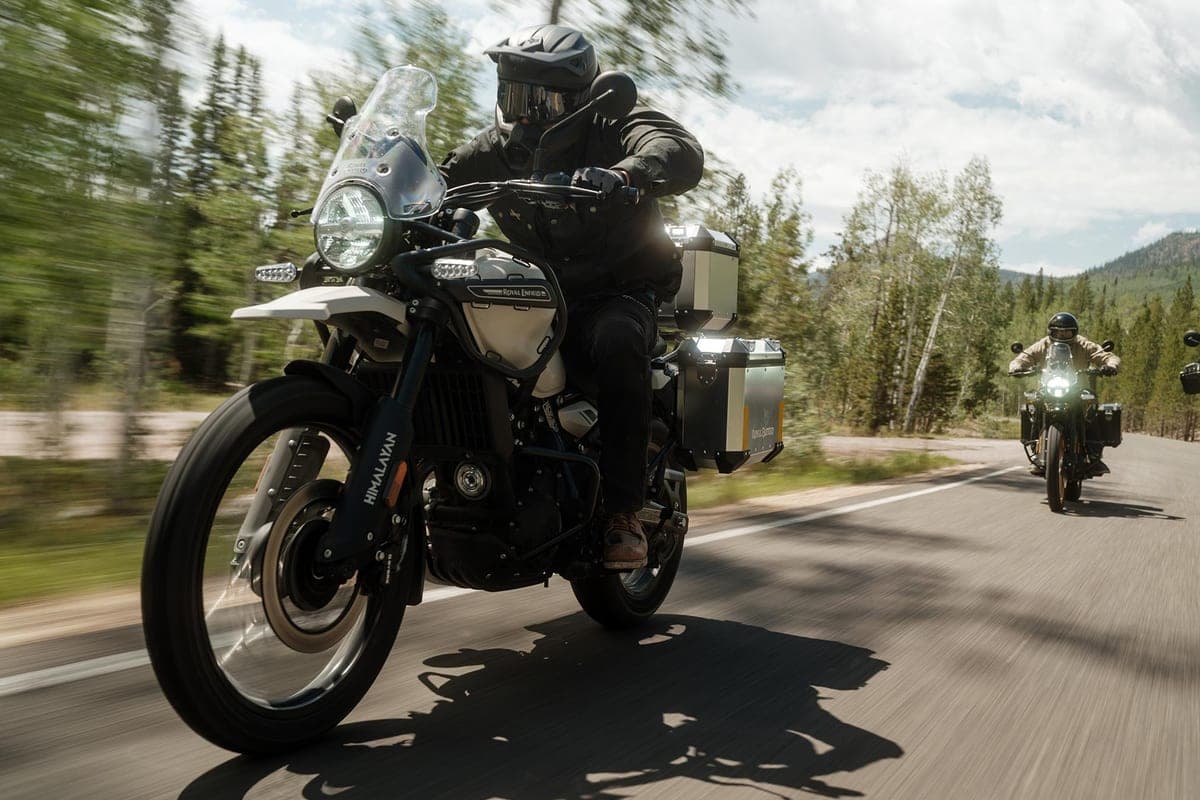 Rider in dark gear riding a white Royal Enfield Himalayan 450 with aluminum panniers down a forest-lined mountain road, motion-blurred trees