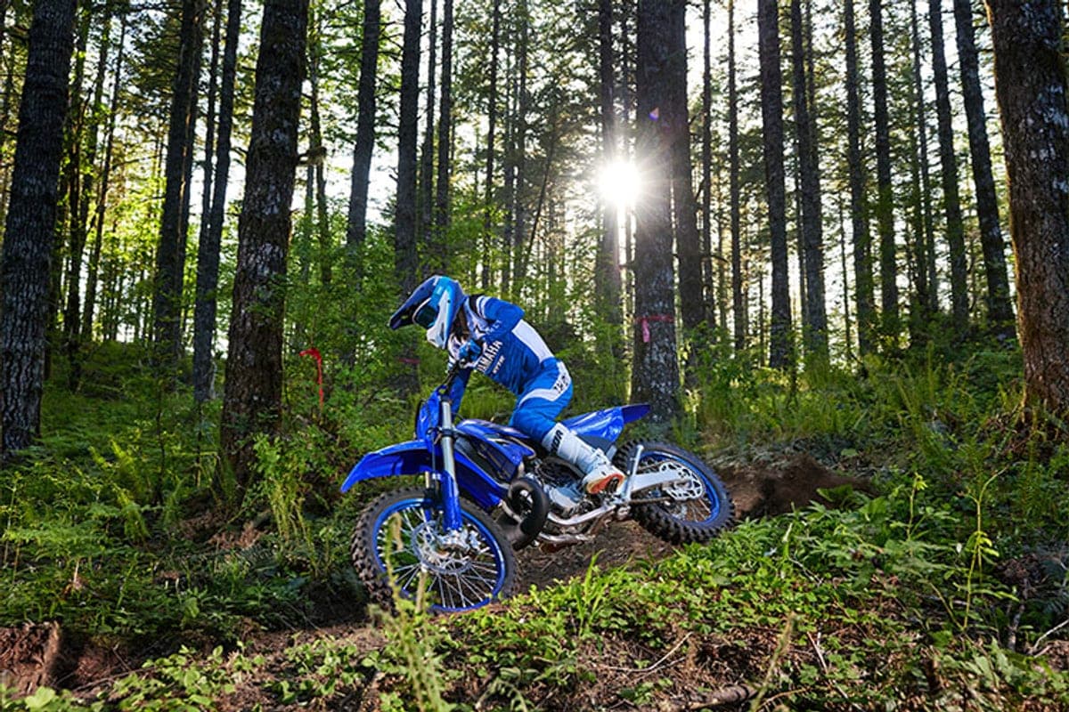 Rider in blue Yamaha gear leaning the YZ250X through a shaded forest singletrack with tall pines and ferns lining the trail