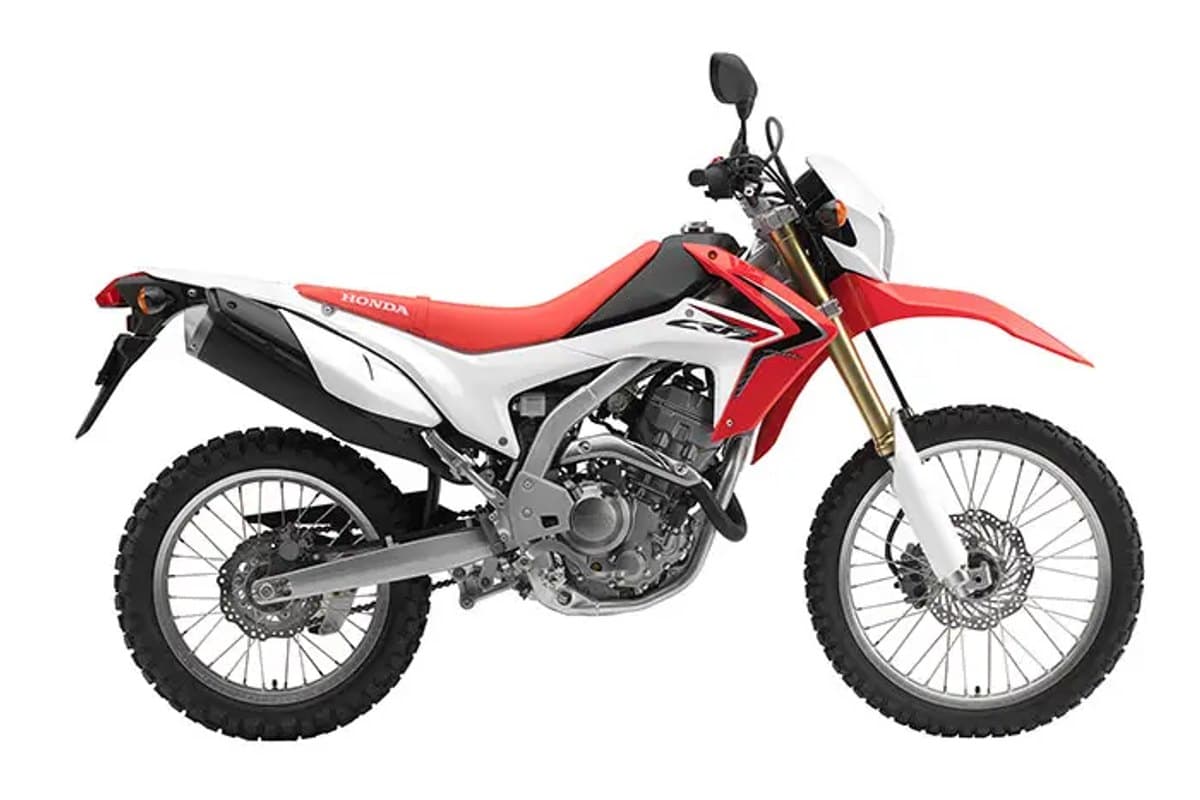 2020 Honda CRF250L dual-sport in red and white, right-side studio profile showing gold inverted forks, spoked wheels and knobby tires