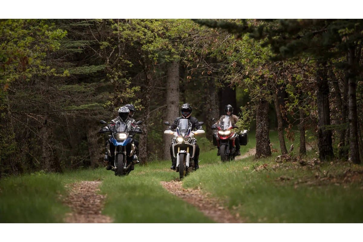 Michelin Anakee Adventure: three adventure bikes coming down a grassy forest two-track