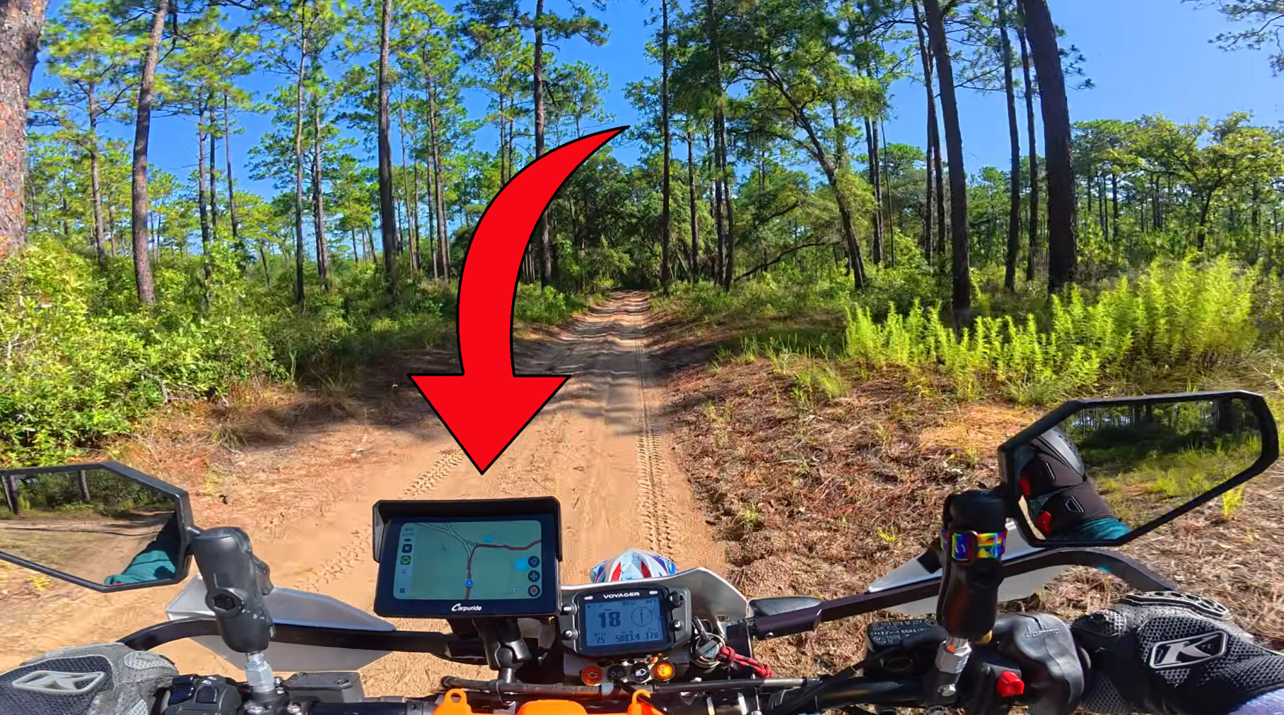 A rider's-eye view over the handlebars on a sandy pine-forest trail, with a Carpuride screen mounted on the bars showing the route ahead