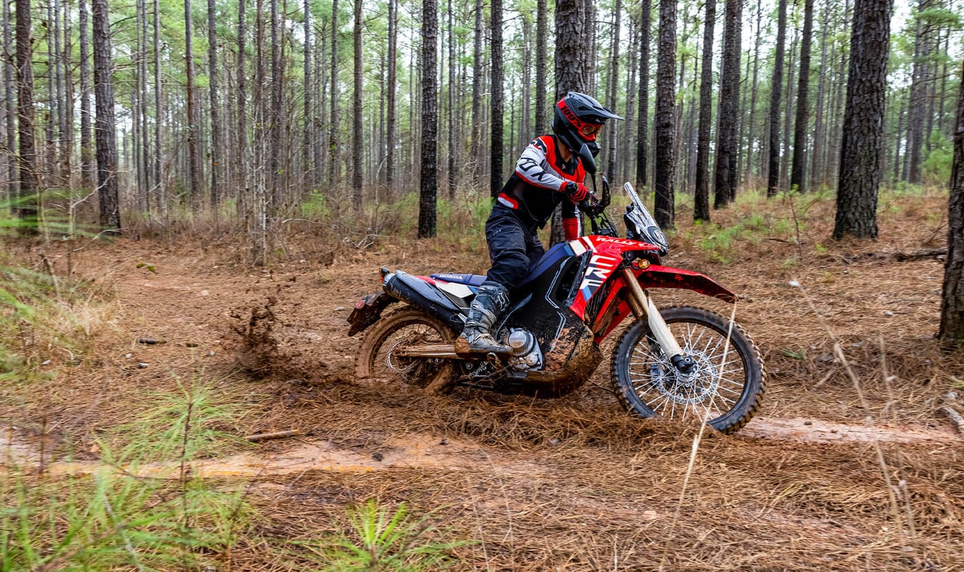 A rider on a Honda CRF300L Rally on a muddy pine forest trail