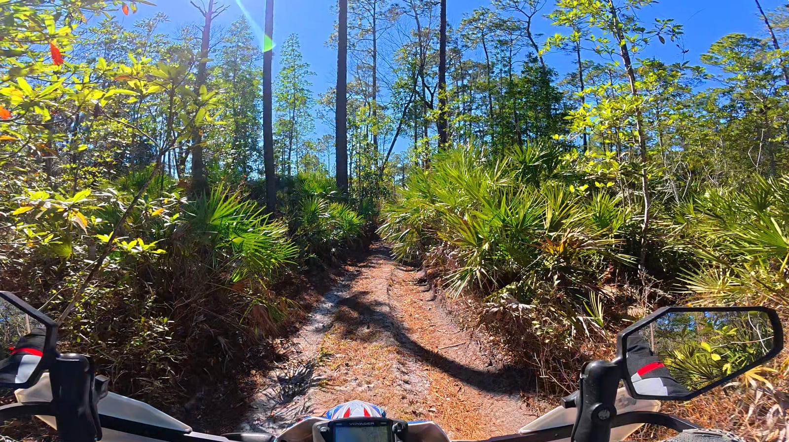 A rider's-eye view down a sandy single-track trail through Florida pine and palmetto scrub