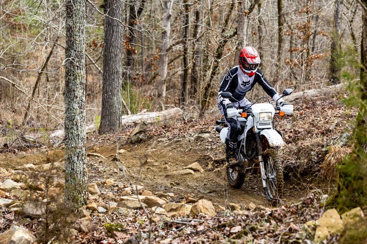 Rider in red helmet and Fox riding gear guides a white Honda XR650L up a rocky, leaf-strewn forest trail between bare trees