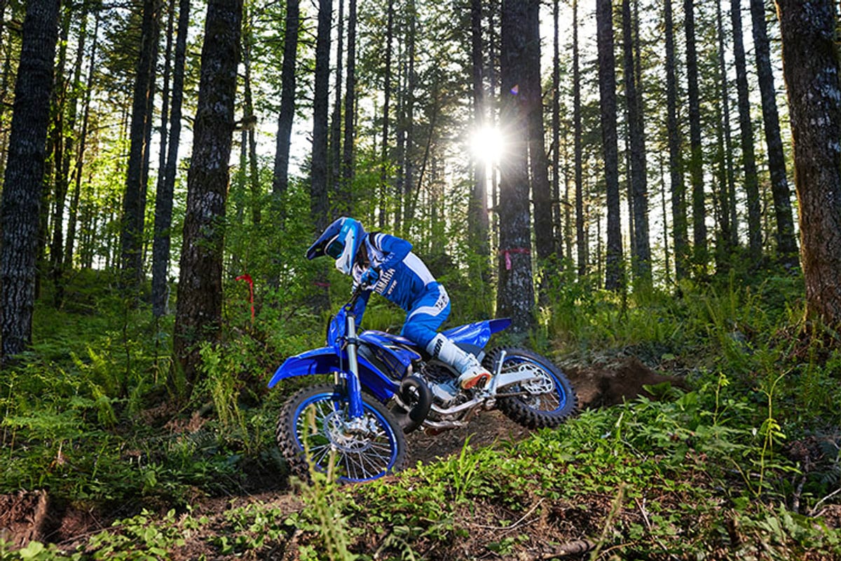 Rider in blue Yamaha gear leaning the YZ250X through a shaded forest singletrack with tall pines and ferns lining the trail