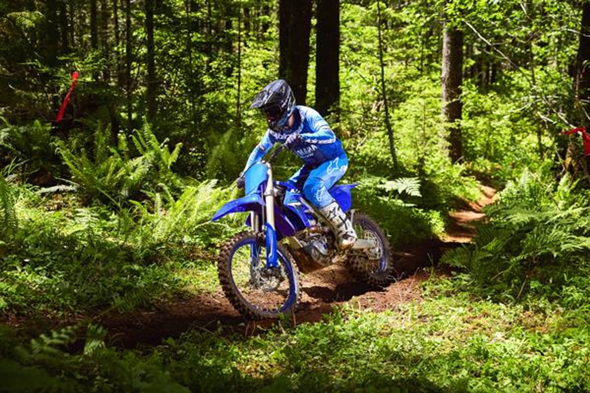 Yamaha YZ250X rider standing on the pegs cornering down a sunlit dirt trail cut through dense fern undergrowth