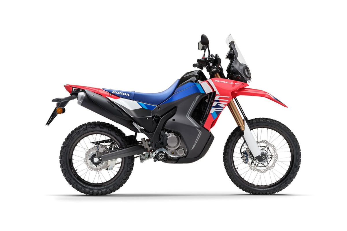2026 Honda CRF300L Rally dual-sport in red, white and blue, left-side studio profile showing the tall windscreen, gold forks and knobby tires